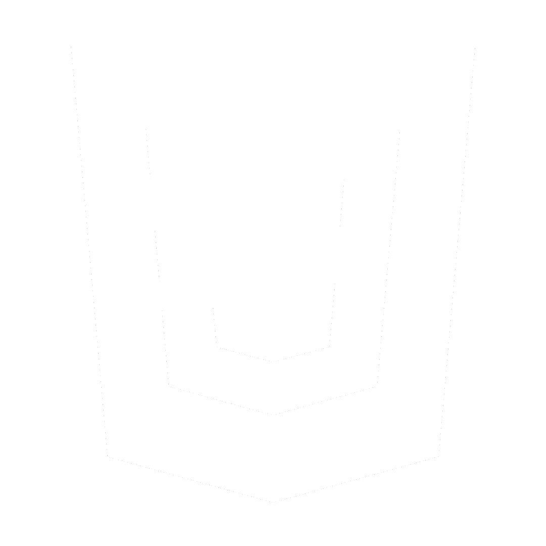 CSS